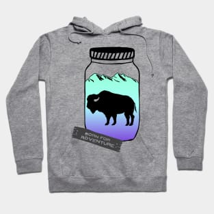 Born For Adventure Hoodie